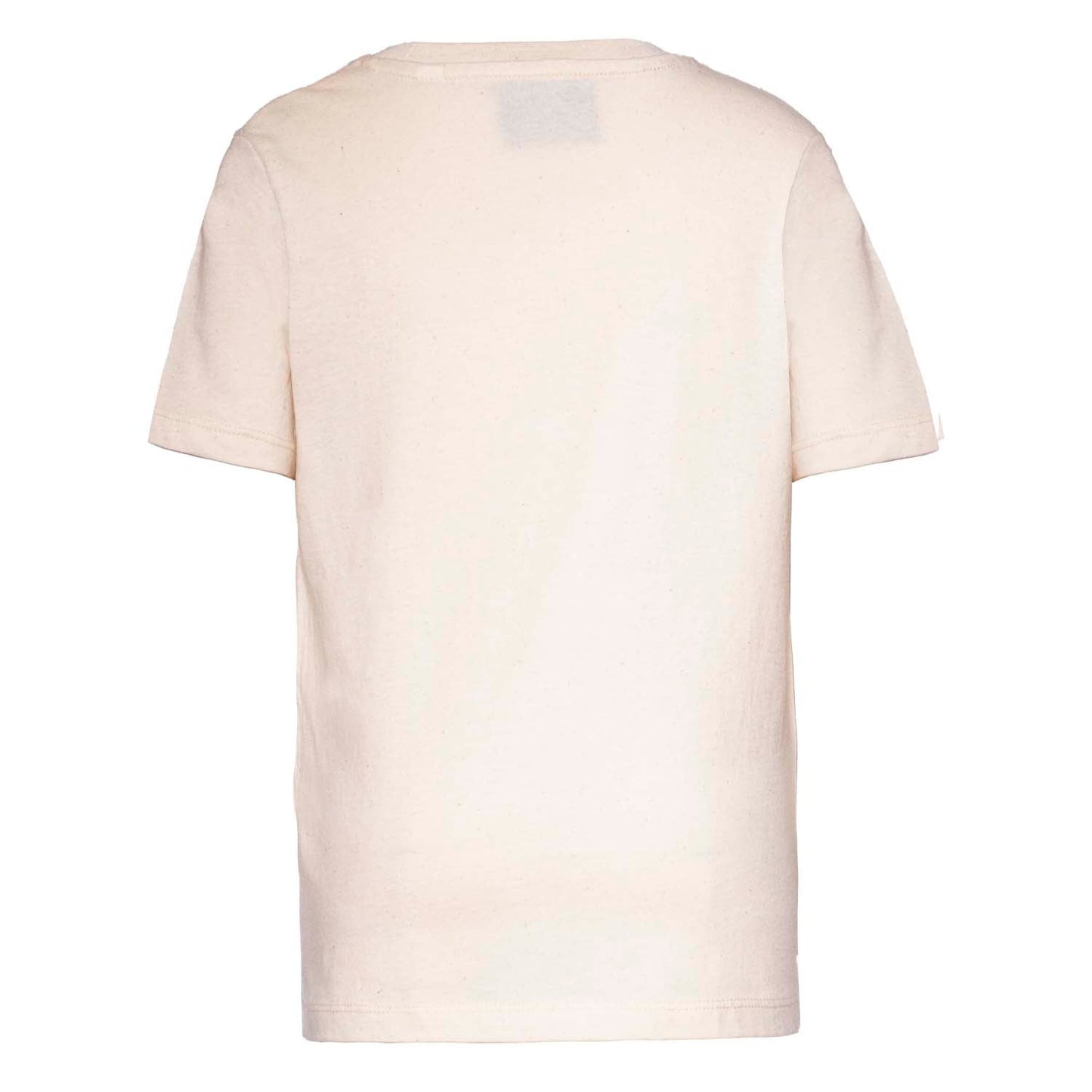Volcano, Dino and Chick T Shirt