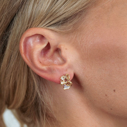 Earrings Miele